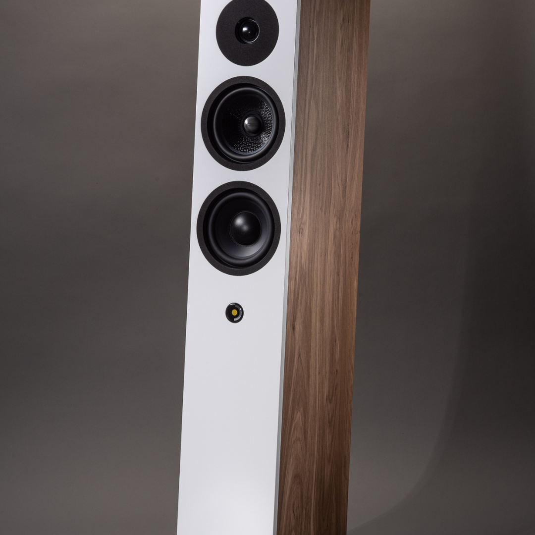 Davis Acoustics - Krypton 6 落地式揚聲器 - 禾木音響 - Hemu Audio