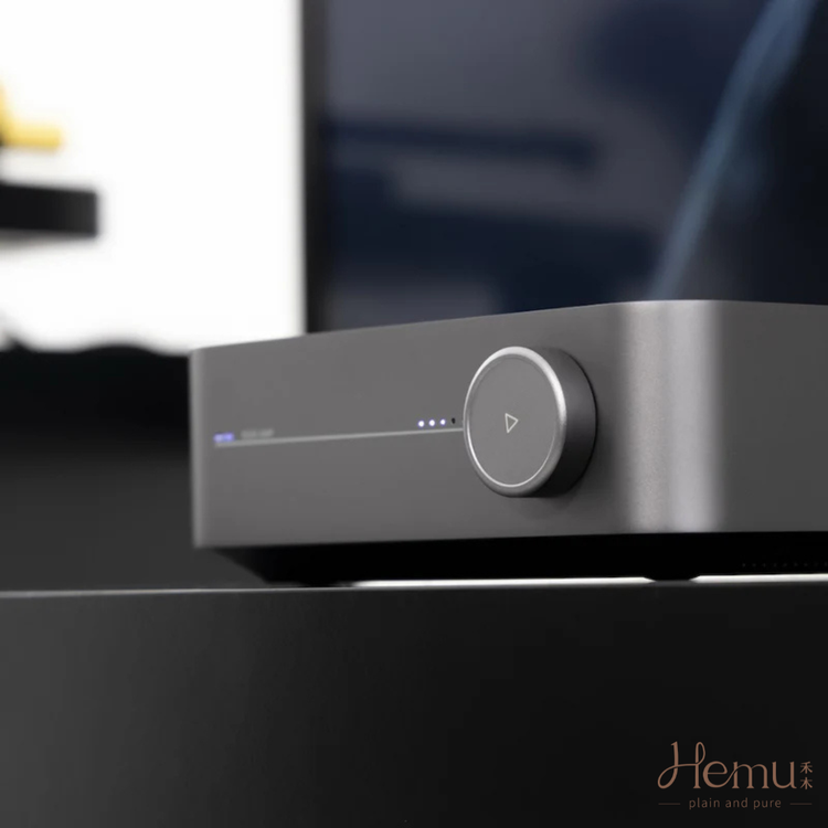 中國Wiim - Streaming Amplifiers